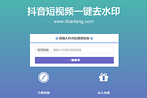 抖音短视频一键去水印解析网站