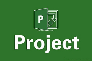 Microsoft Project表搭建项目前的设置方法