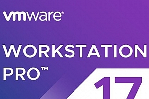 VMware Workstation 17虚拟机安装系统时出现attempting to start up from…解决方法